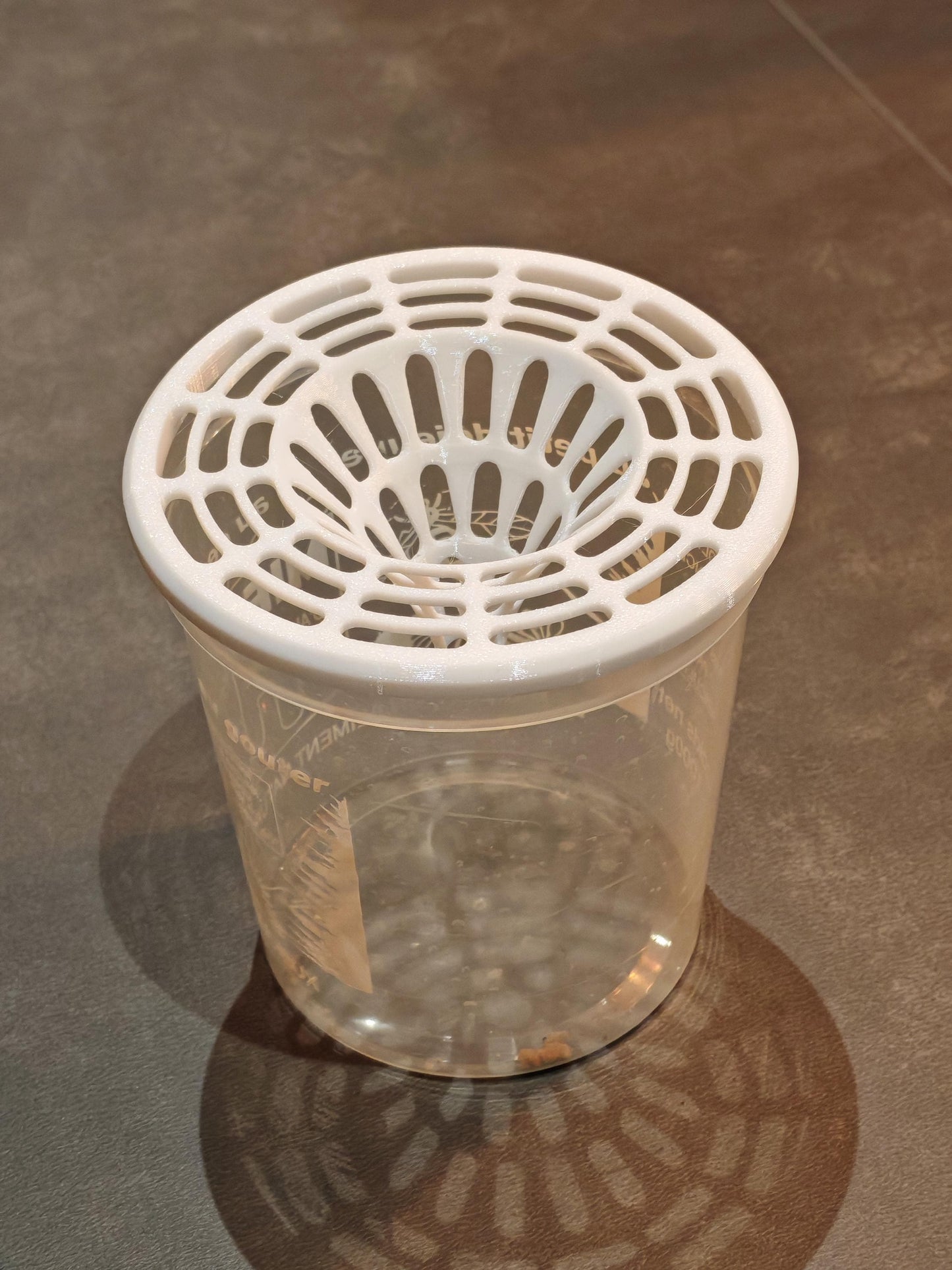 Piège à frelon asiatique reine et ouvrier