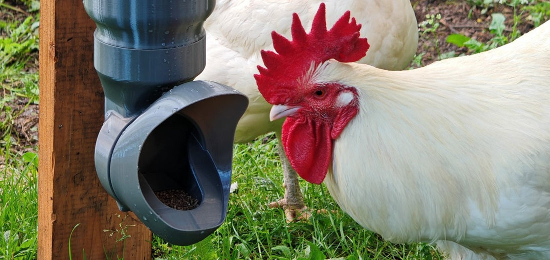 Comment choisir sa mangeoire anti‑nuisibles ? (Guide 2025)