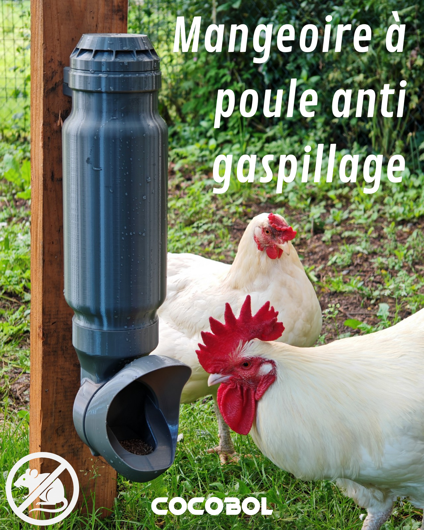 Mangeoire poule anti-gaspillage réservoir rond 3,5 L / 5,5 L – Cocobol