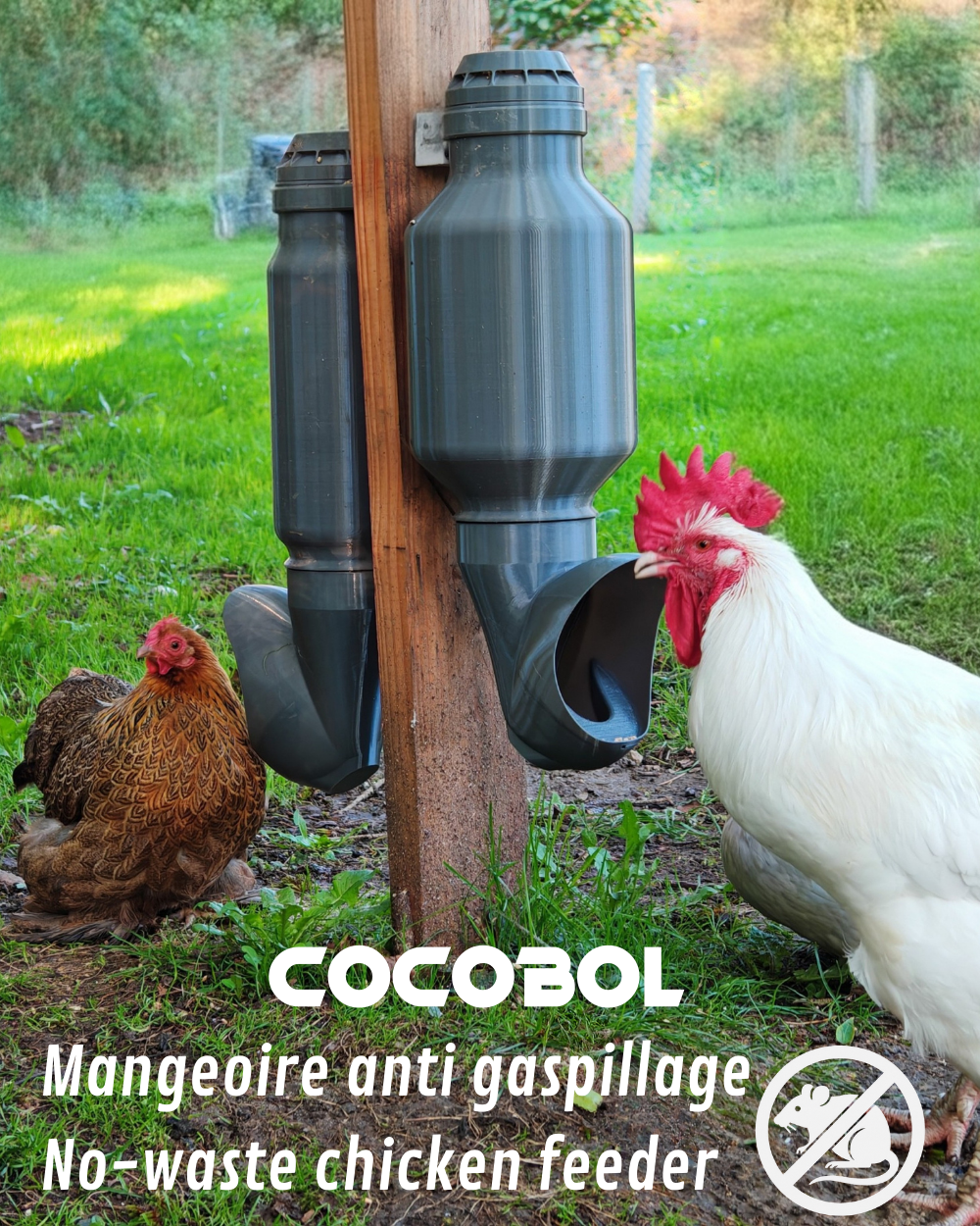 No-waste chicken feeder mounted on a wooden post with two white hens approaching to eat.