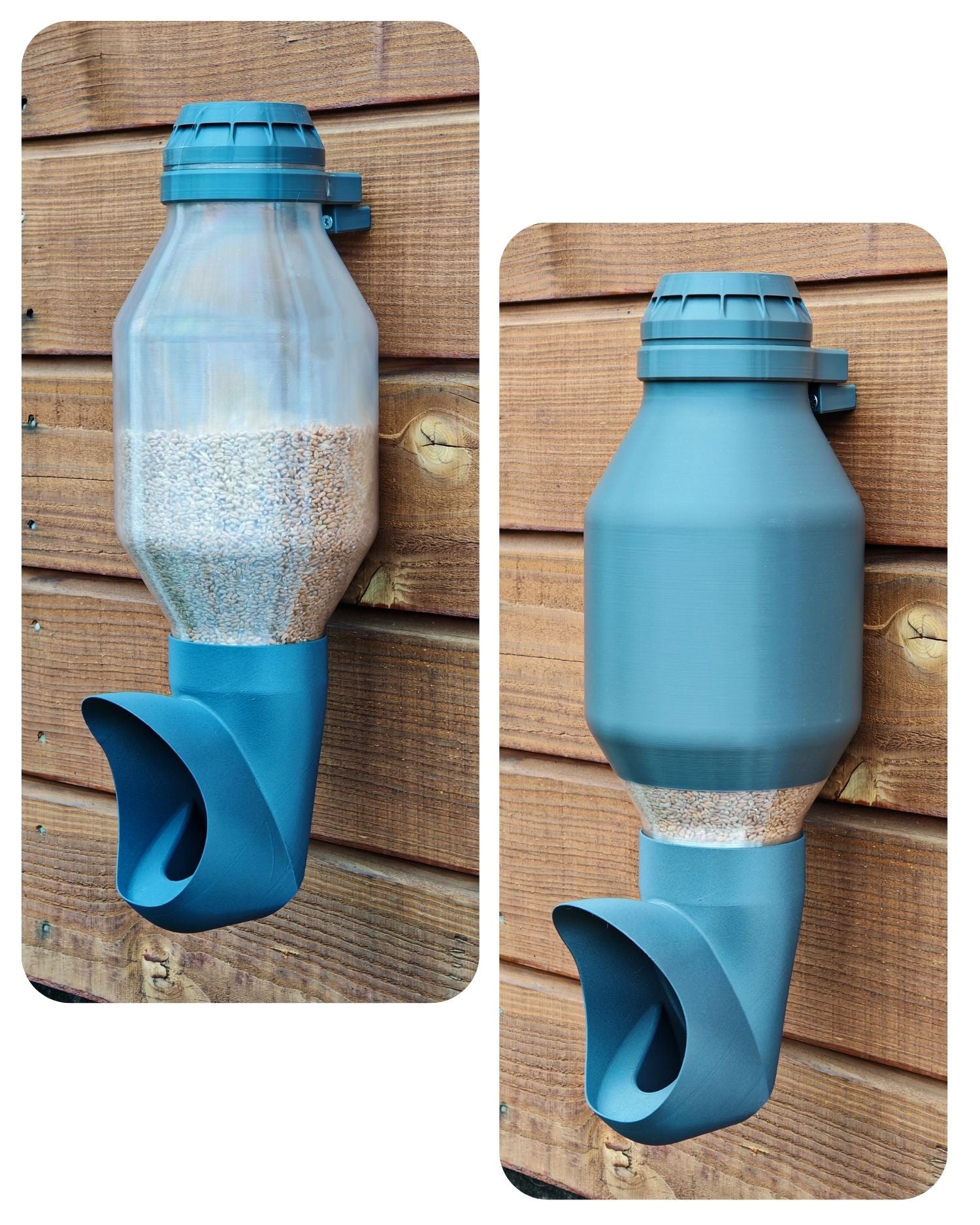 Mangeoire Cocobol pour poules avec réservoir translucide, niveau de grain visible sur toute la hauteur, fixée sur un mur en bois