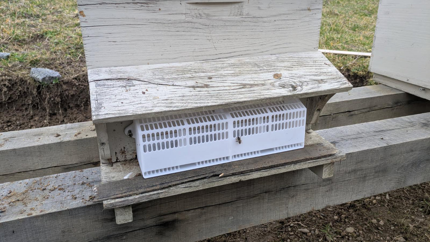 Piège à frelons asiatiques anti intrusion pour ruches - tarifs dégressifs