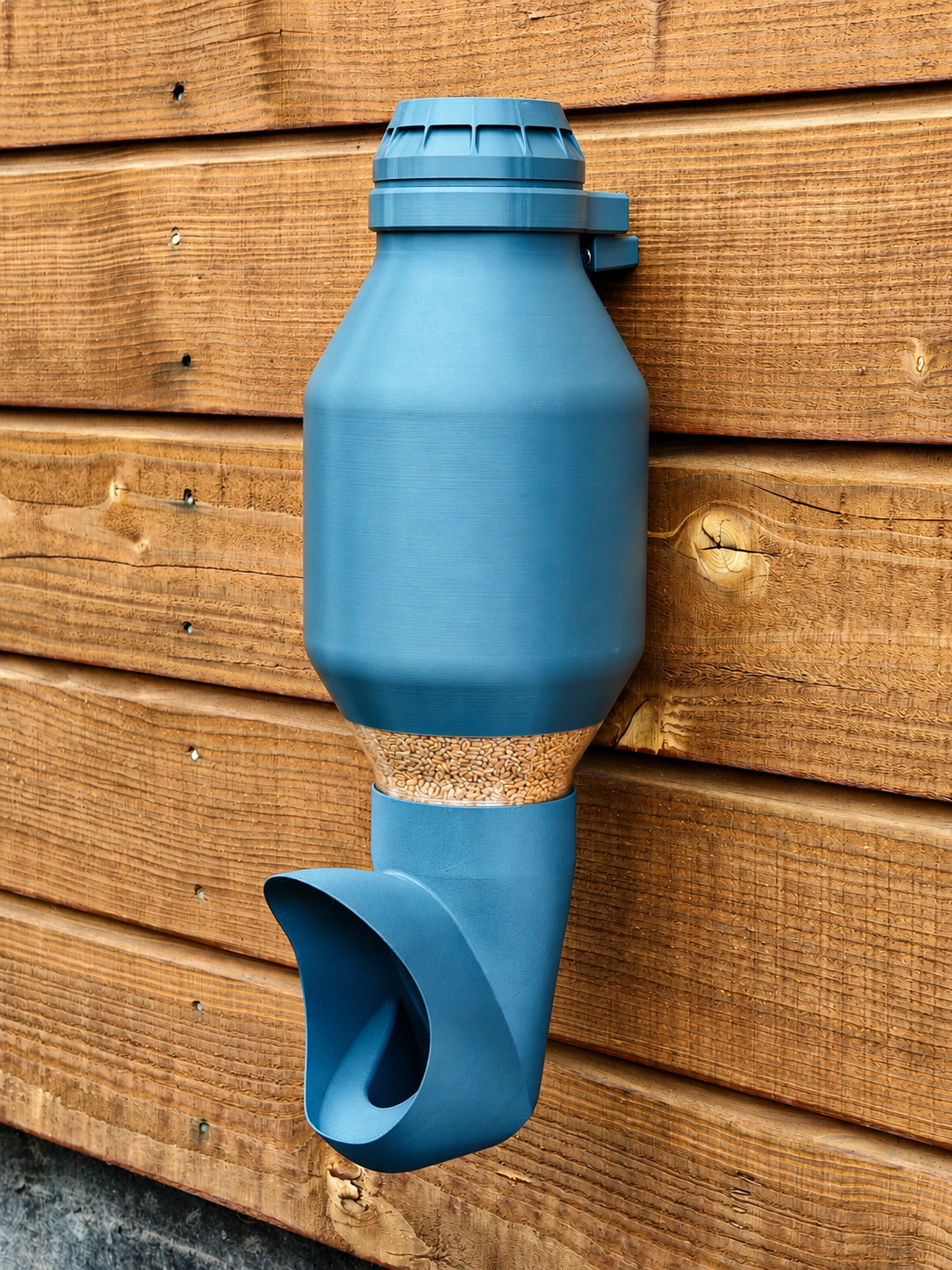 Mangeoire à poule Cocobol bleue fixée au mur, conçue pour limiter le gaspillage et l’accès des nuisibles