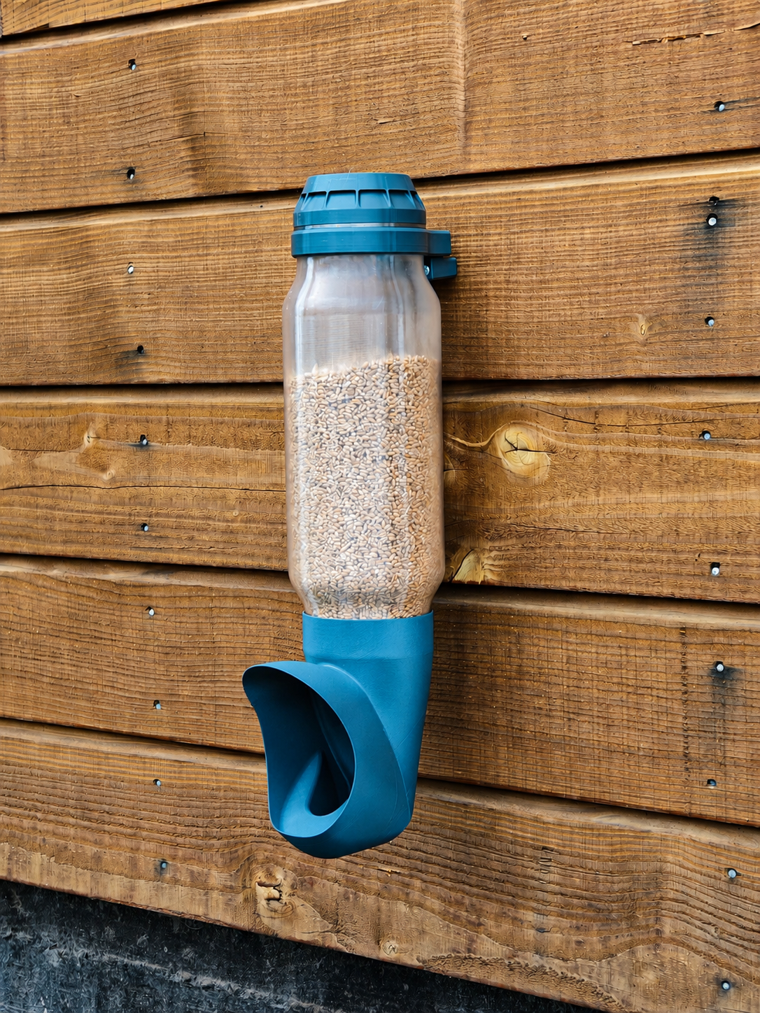 Mangeoire à poule Cocobol avec réservoir transparent rempli de grain, installée contre un mur en bois