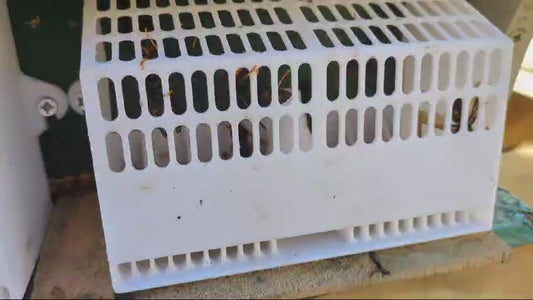 Piège à frelons asiatiques sélectif – Protection efficace pour ruches